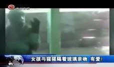 玻璃最新爆料新闻视频,揭秘科技巨头最新研发突破