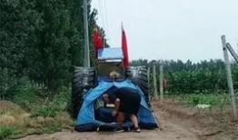 哈尔滨徒步爆料案件最新,真相大白，疑云散去